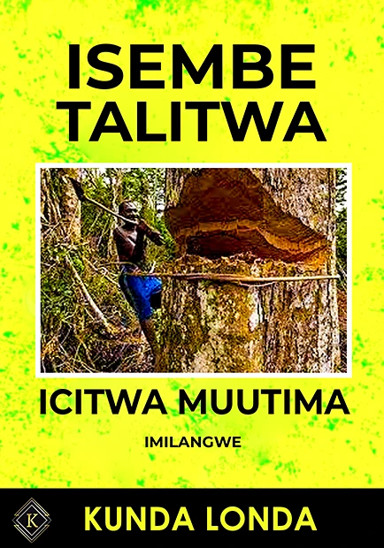 Isembe Talitwa book cover