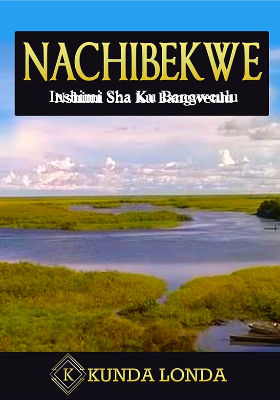 Nachibekwe book cover